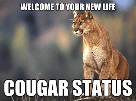 cougar meme funny|cougar alert meme.